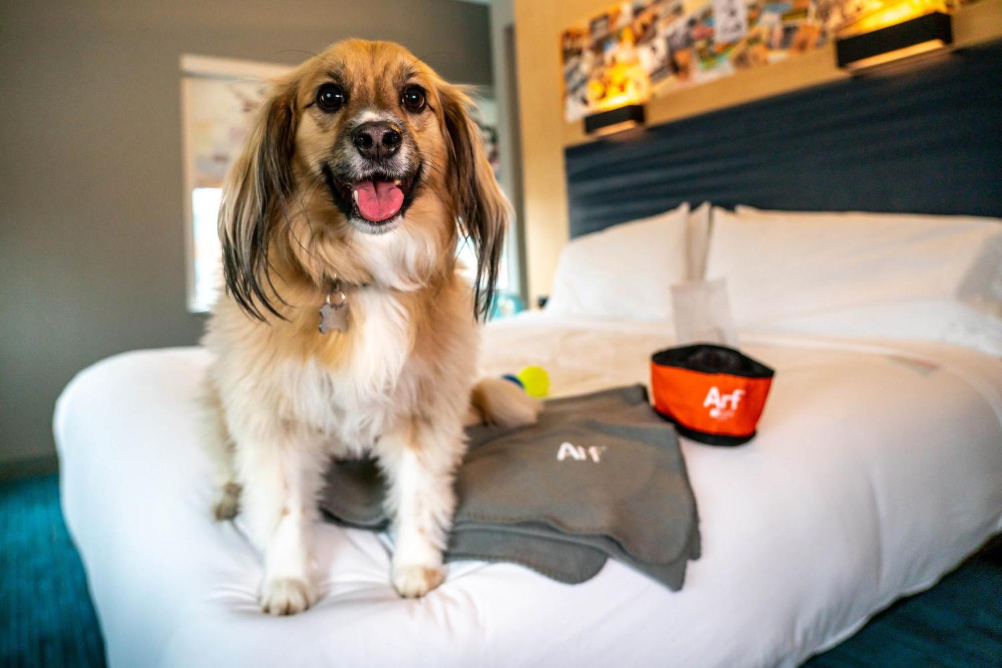 Aloft Louisville Downtown Eksteriør billede